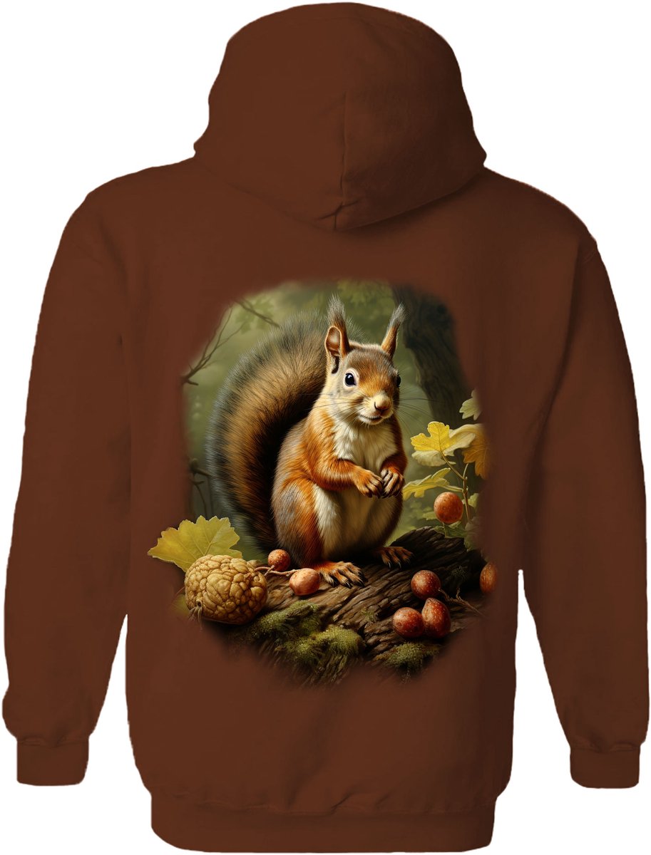 Eekhoorn Squirrel In The Woods The Coloured House Hoodie S