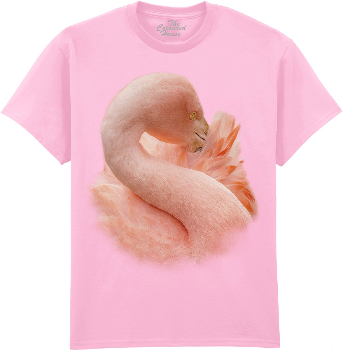 Flamingo Cocoon Of Plumage The Coloured House T-shirt 3XL