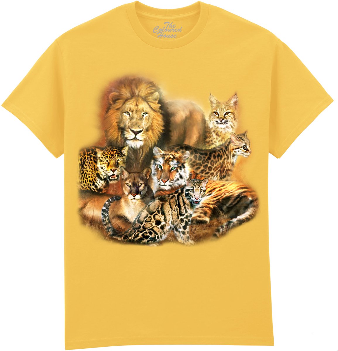 Cat Power The Coloured House T-shirt XL