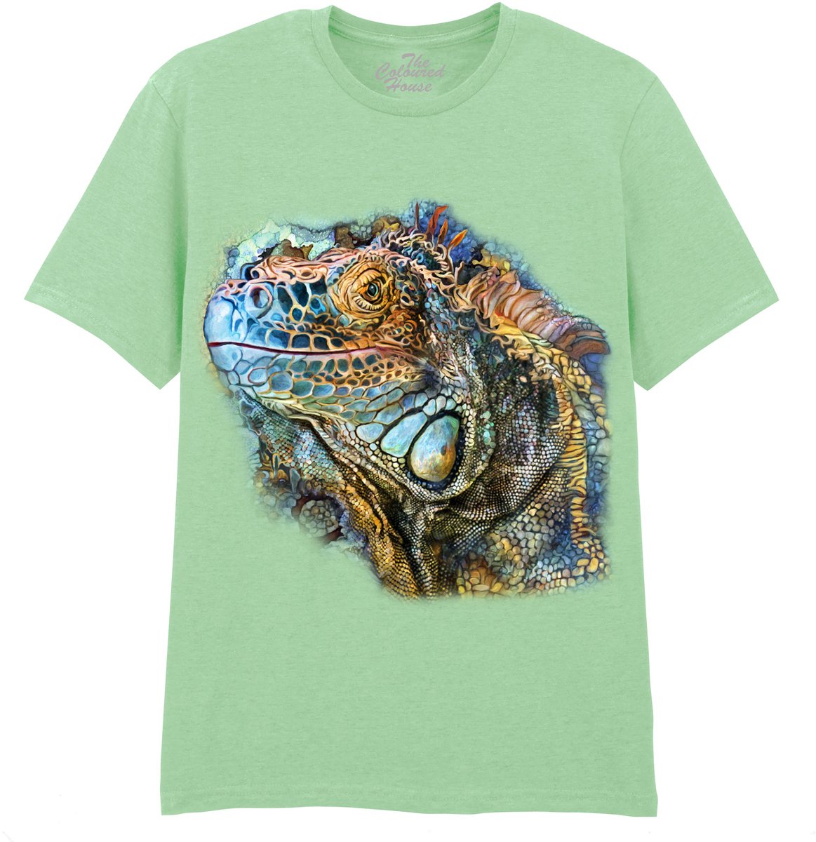 Leguaan Iguana Spirit Of Contentment The Coloured House T-shirt XXL