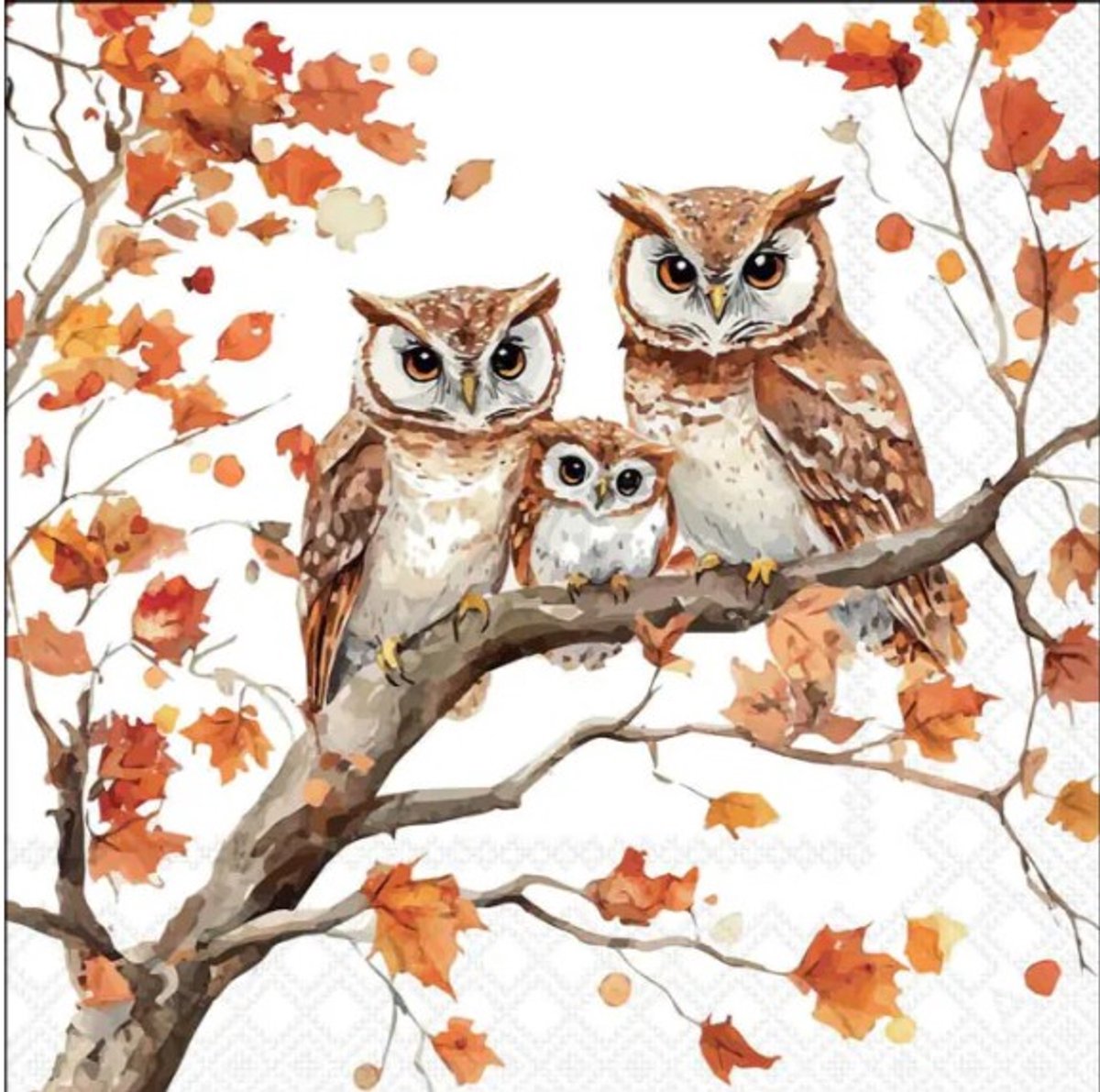 Ambiente Lunch Servetten - Family of owls - 1 pakje = 20 servetten - Uilen - Herfst - Tafeldecoratie - Decoupage - Aardigheidje - Bedankje - Geschenkenlaantje