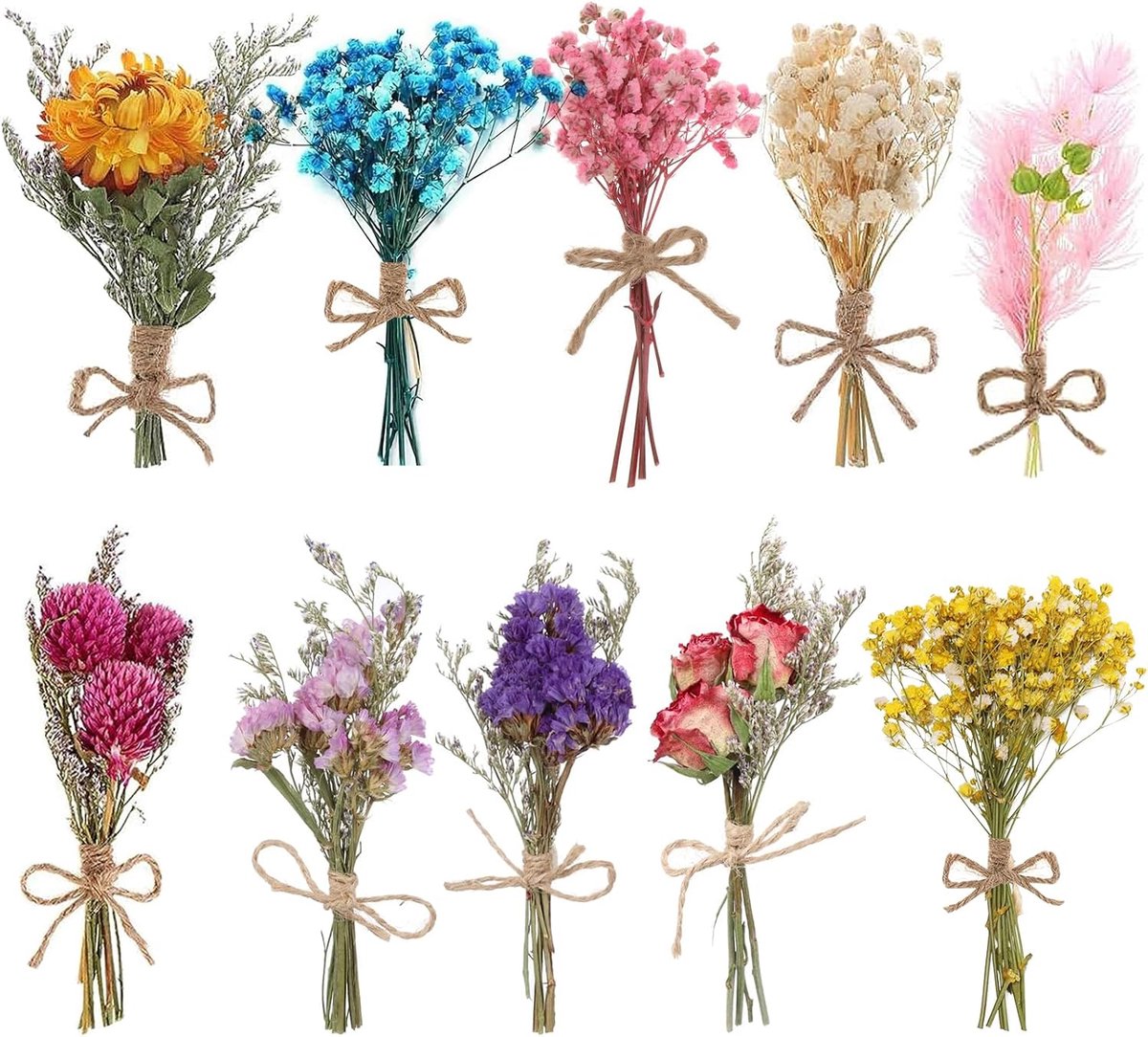 Thijox - Gedroogd Boeket voor Knutselen, 10 Bundels Natuurlijke Mini Droogbloemen, Gemengd, Perfect voor Fotolijsten, Kunst en Doe-Het-Zelf Projecten