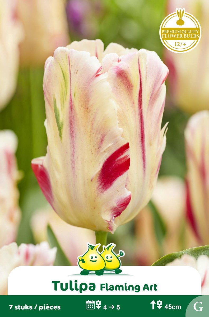 2 Zakjes Parkiet Tulpen Flaming Art maat 12/+