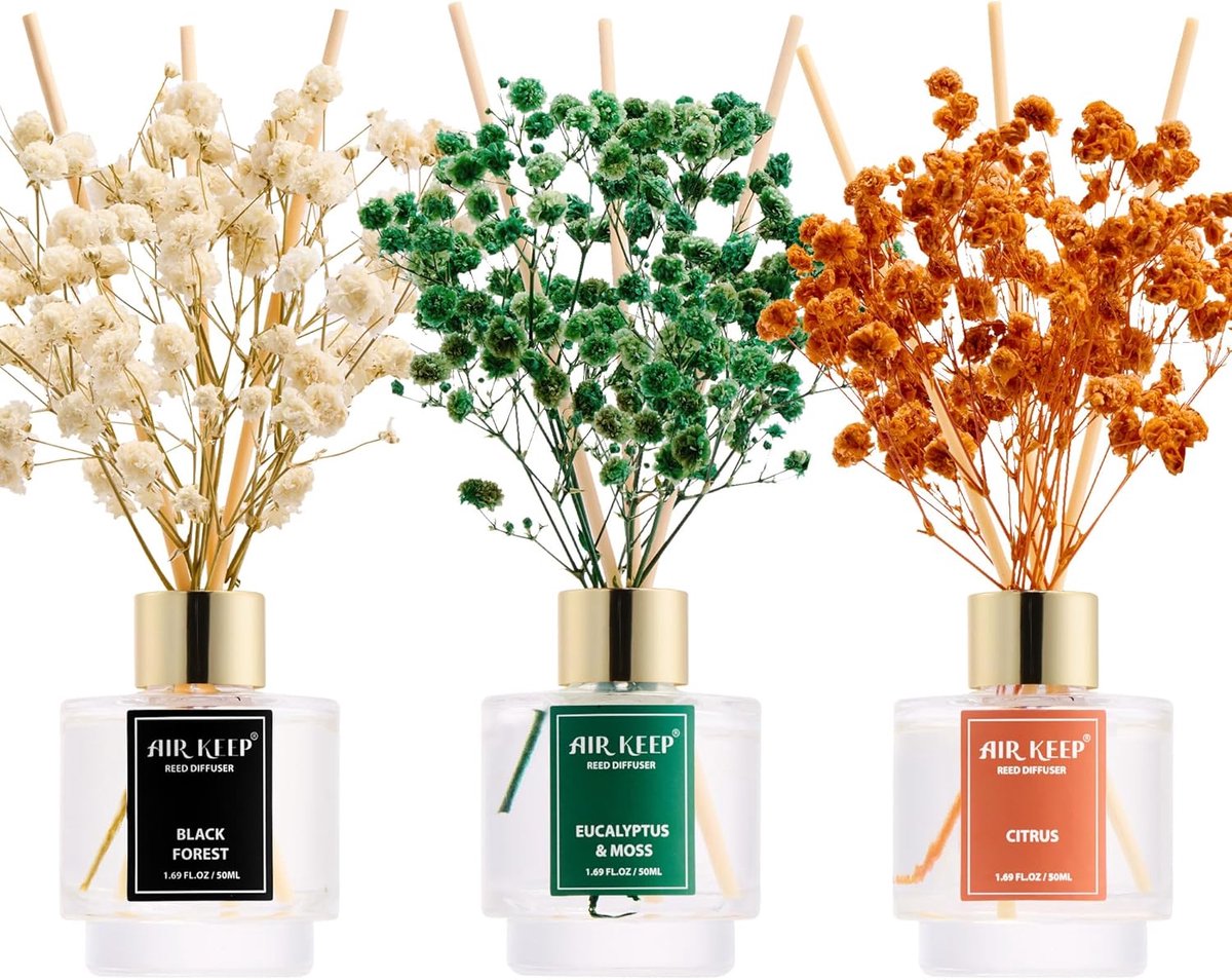 SnelShoppen - Aroma Diffuser 50ml x 3, Zwart Bos, Eucalyptus & Mos, Citrus Geur Diffuser met 24 Stokken, Decoratie voor Slaapkamer, Woonkamer, Badkame