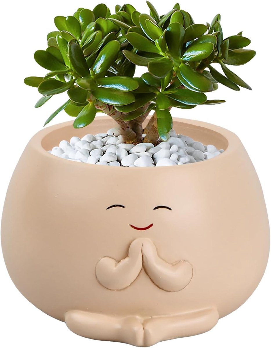 SnelShoppen - Flower Pot Smiley Face - Resin Plant Pot voor Succulenten en Cactussen - Beige 10cm - Decoratieve Tuinpot voor Thuis en Kantoor