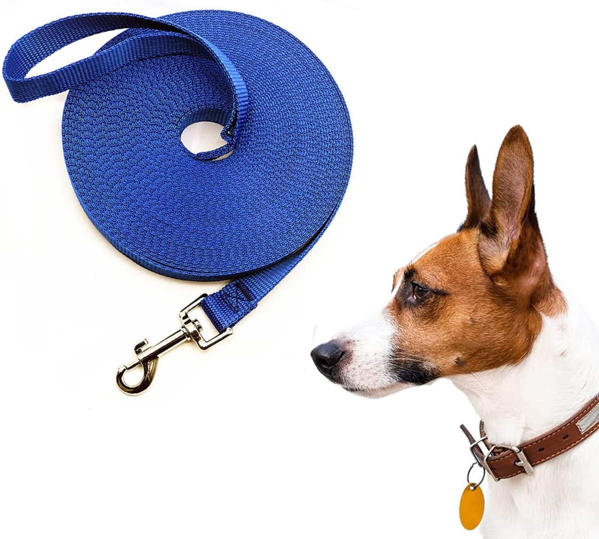 SnelShoppen - Hondenriem 10m - Duurzame Nylon Hondenlead voor Kleine tot Grote Honden - Verstelbare Lengte 1.2~30m - Blauw - Ideaal voor Wandelen en T