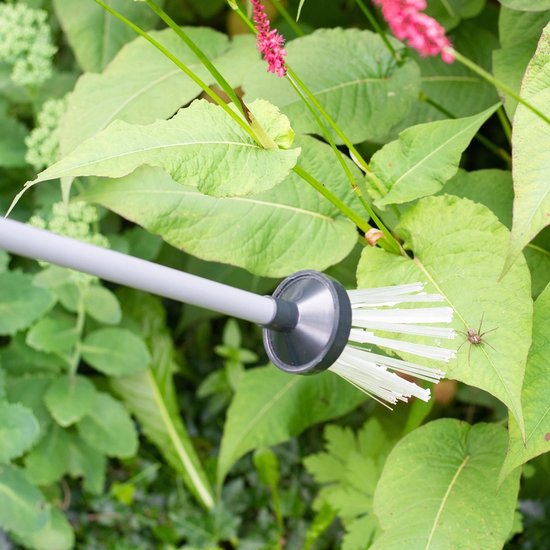 Een spinnenvanger met witte borstelharen nadert een spin op een groen blad.