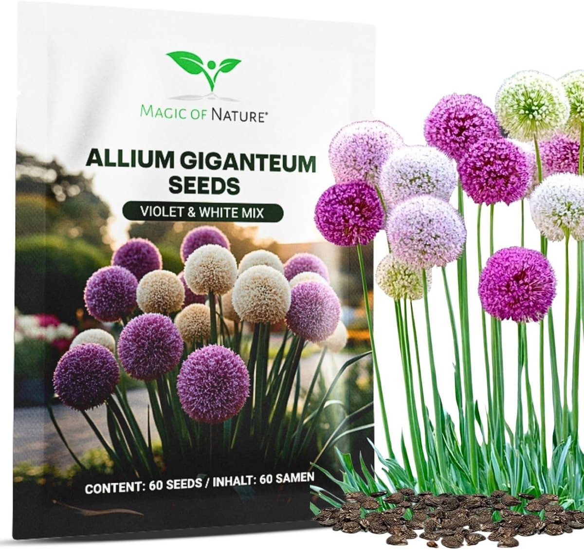 SnelShoppen - Reuzen Sierui Zaden (60 st) Allium giganteum Mix - Winterharde Paars & Wit Zaden voor Bijvriendelijke Tuinen - Perfect voor Tuinieren en