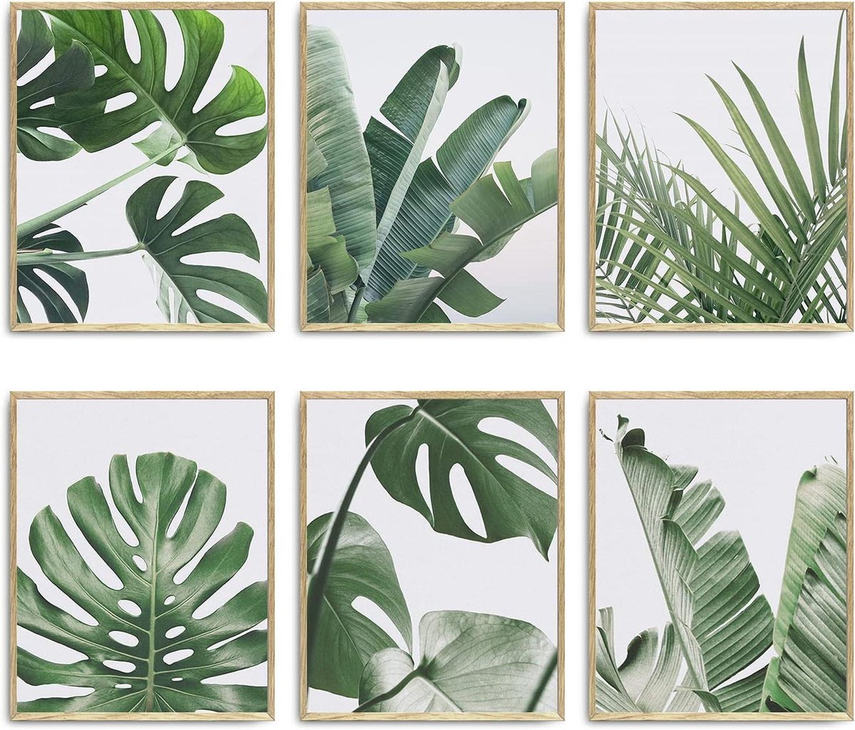 Botanische muurkunst - Plantenprints decoratie - Woonkamer verfraaien - Set van zes - 20 x 25 cm - Groen