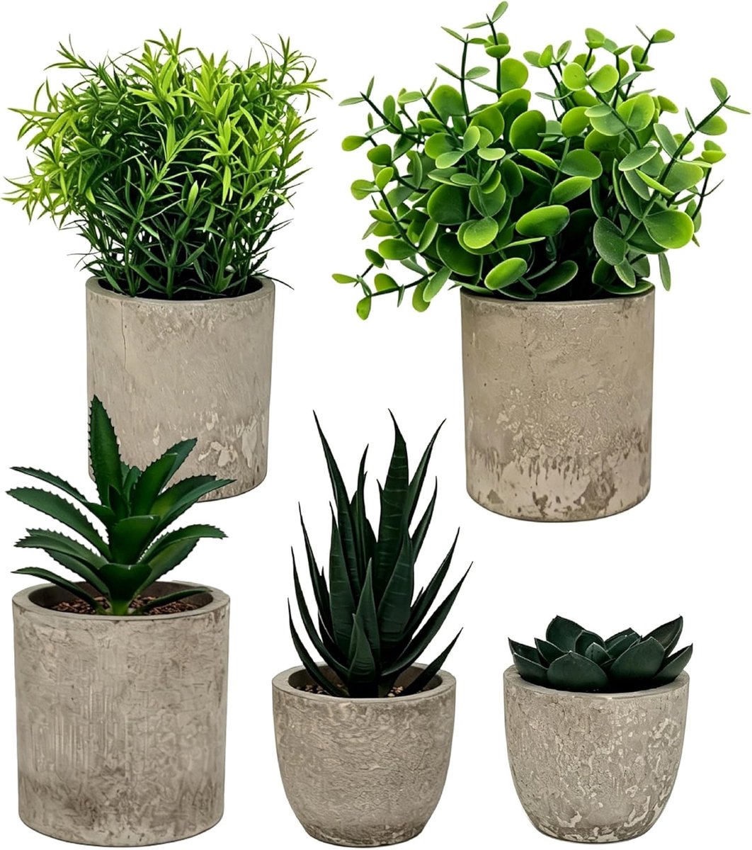 SnelShoppen - Set van 5 Kunstplanten - Agave, Aloë Vera, Tijgerstaart - Onderhoudsvrij, Realistische Decoratie voor Woonkamer, Slaapkamer, Kantoor, Gr