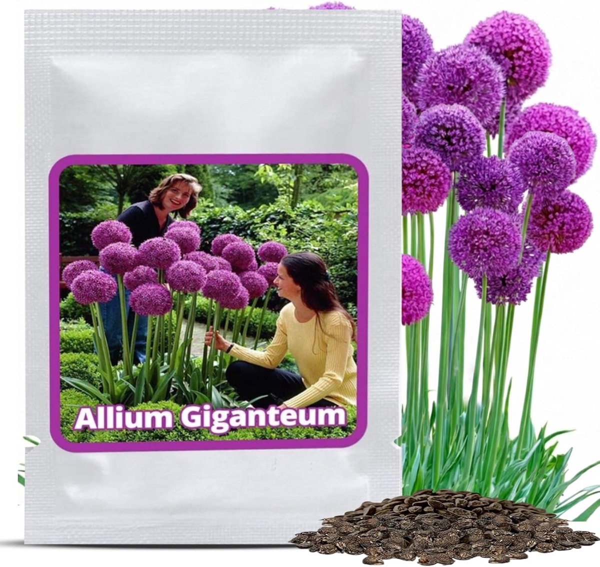 Reuzensierui Allium giganteum Zaden - 30 stuks - Paarse Bloemen tot 150cm