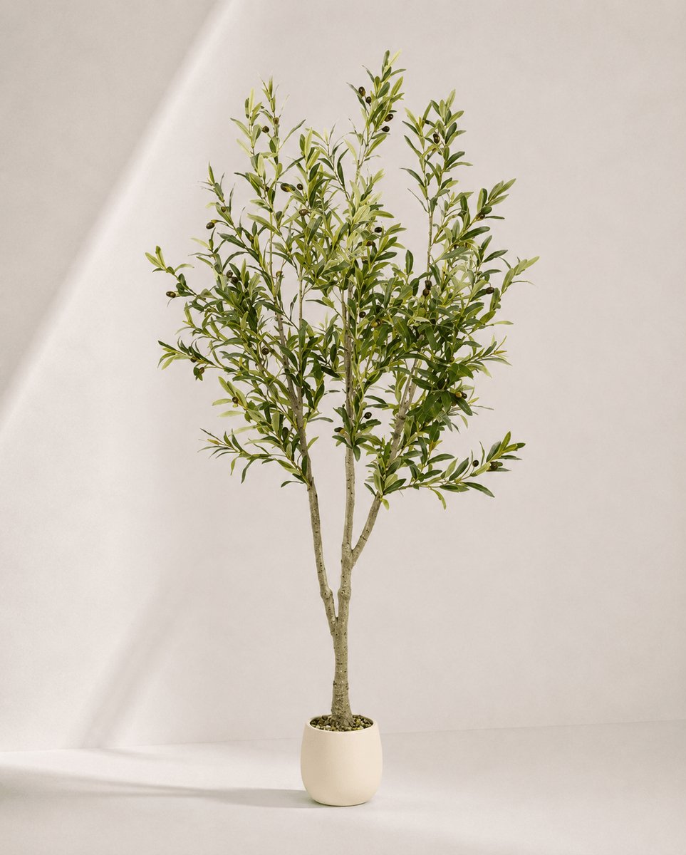 Kunst Olijfboom (Olive Tree) – 180 cm