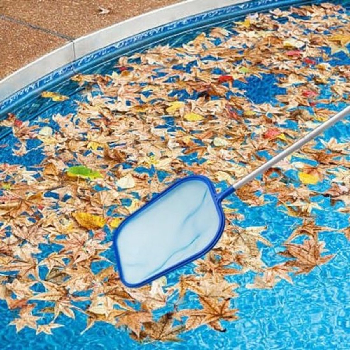 Zwembadskimmer, handnetskimmer voor het reinigen van het zwembad, tuinvijver, met 5 aluminium staven