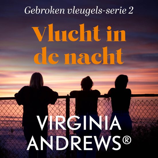 Vlucht in de nacht - cover