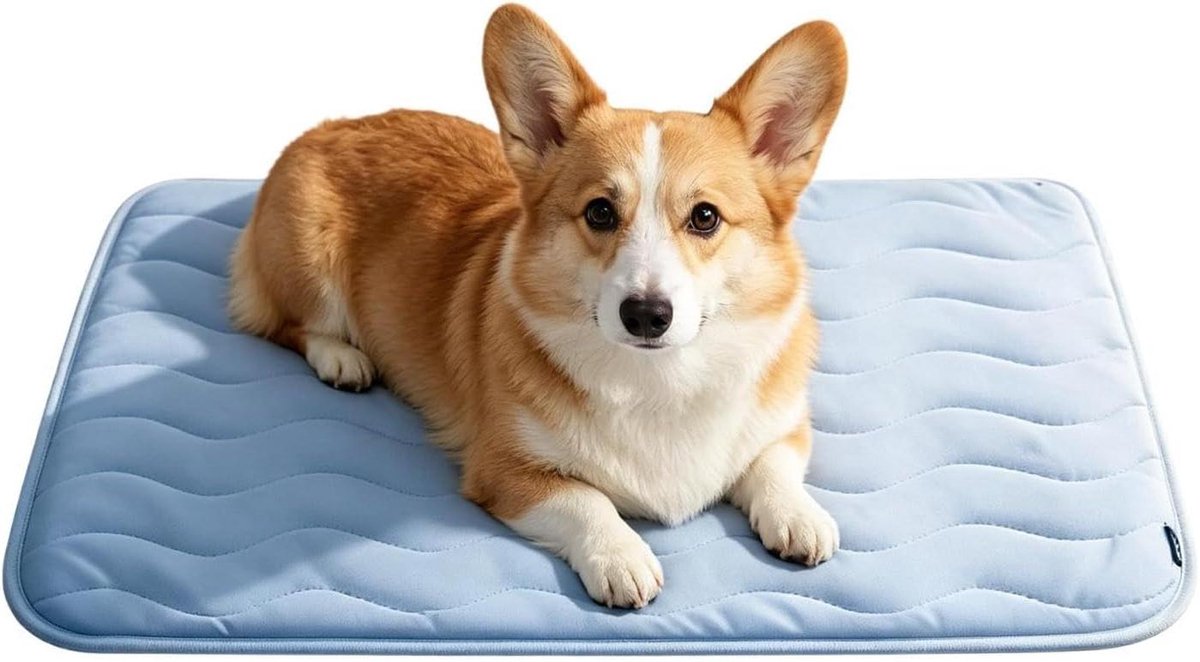 Honden Koelmat - Antislip Slaapkussen - Honden Zomer - Directe Koeling Zonder Gel - XXL - Lichtblauw