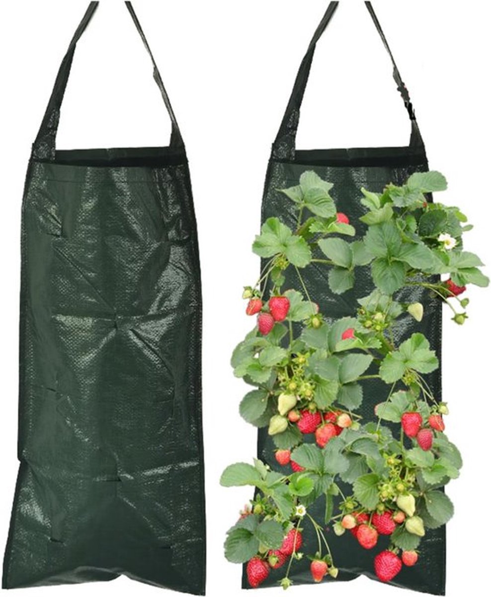Hangende Plantenzakken - Kweekzakken Aardbeien - Buiten Tuinieren - 8 Gaten Ontwerp - 2 Stuks