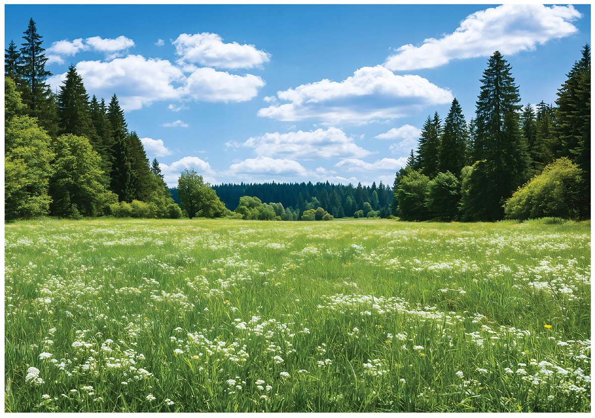 WALLARENA - Fotobehang - 200x140 cm - bos, bomen en weide voor woonkamer en slaapkamer
