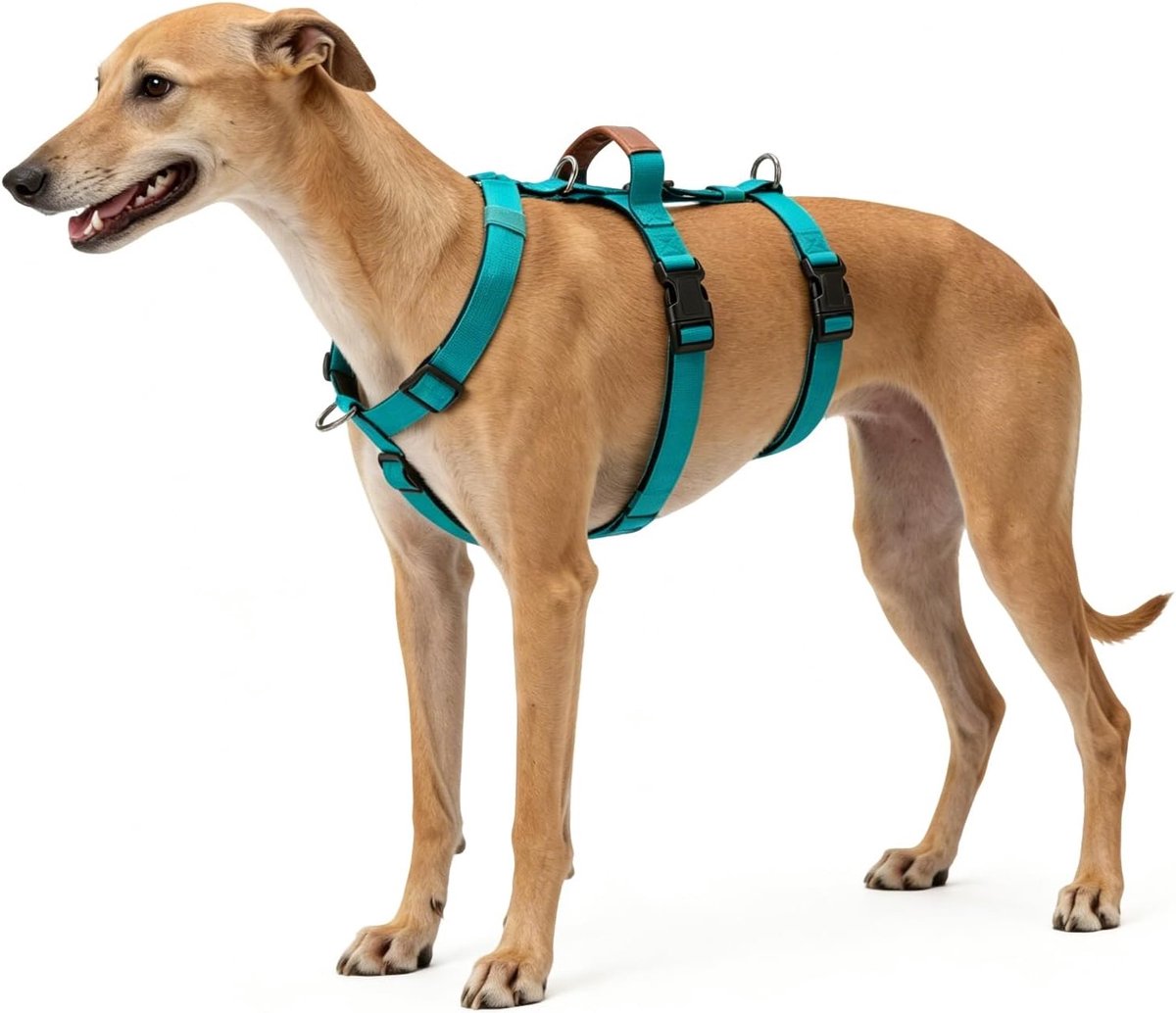 SnelShoppen - Escape Proof Hondenharnas XL - 3 Punt Anti-Trek Veiligheid Ontwerp - Verstelbaar met Neksluiting en Handvat voor Grote Honden - Ademend