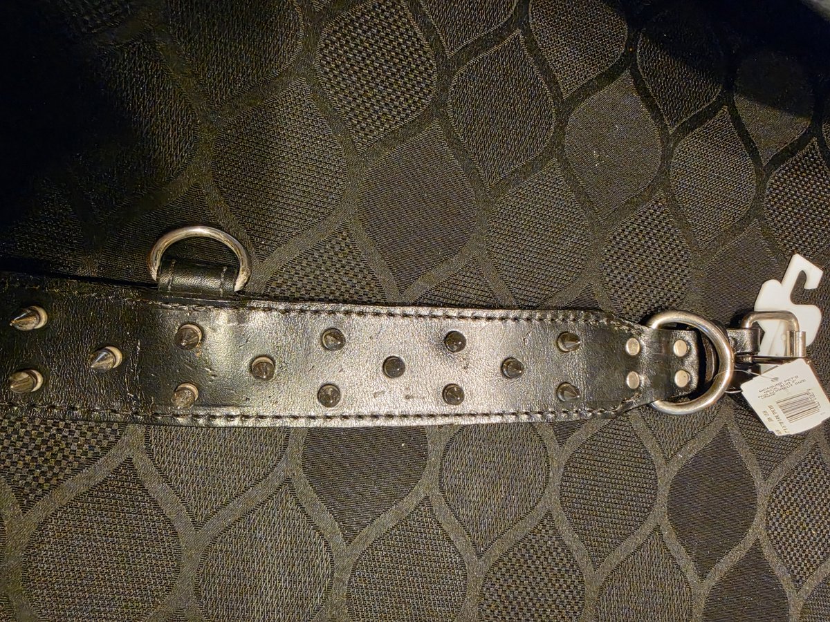 Bulterrier spike halsband 67 cm 50 mm