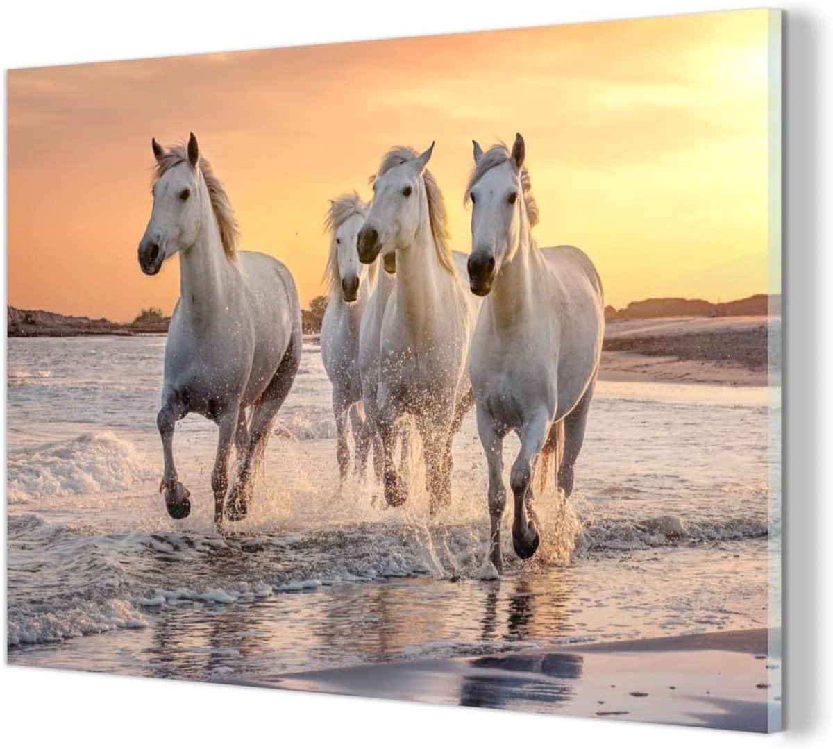 Glasschilderij Paarden - Acrylglas Print - Wanddecoratie - Extreem scherpe afdruk - 90x60 cm - Multicolor