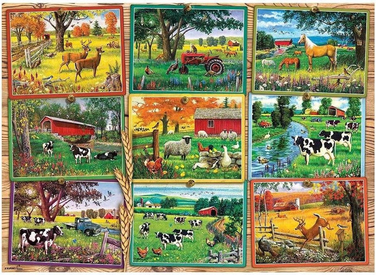 Puzzel Stukken - Farm Postkaarten - Ontspanning Thuis - Willekeurig Gesneden - 1000 Stukjes - Multi