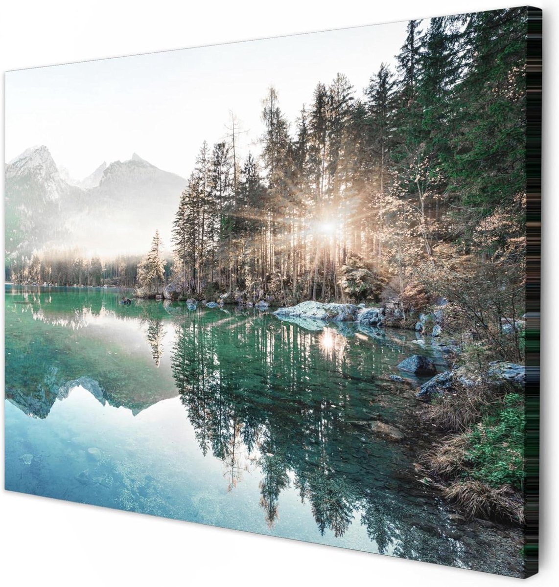 Canvas Schilderij - Muurdecoratie Kunst - Woonkamer Inrichten - Hoge Kwaliteit Print - 40x30 cm - Natuur Bomen