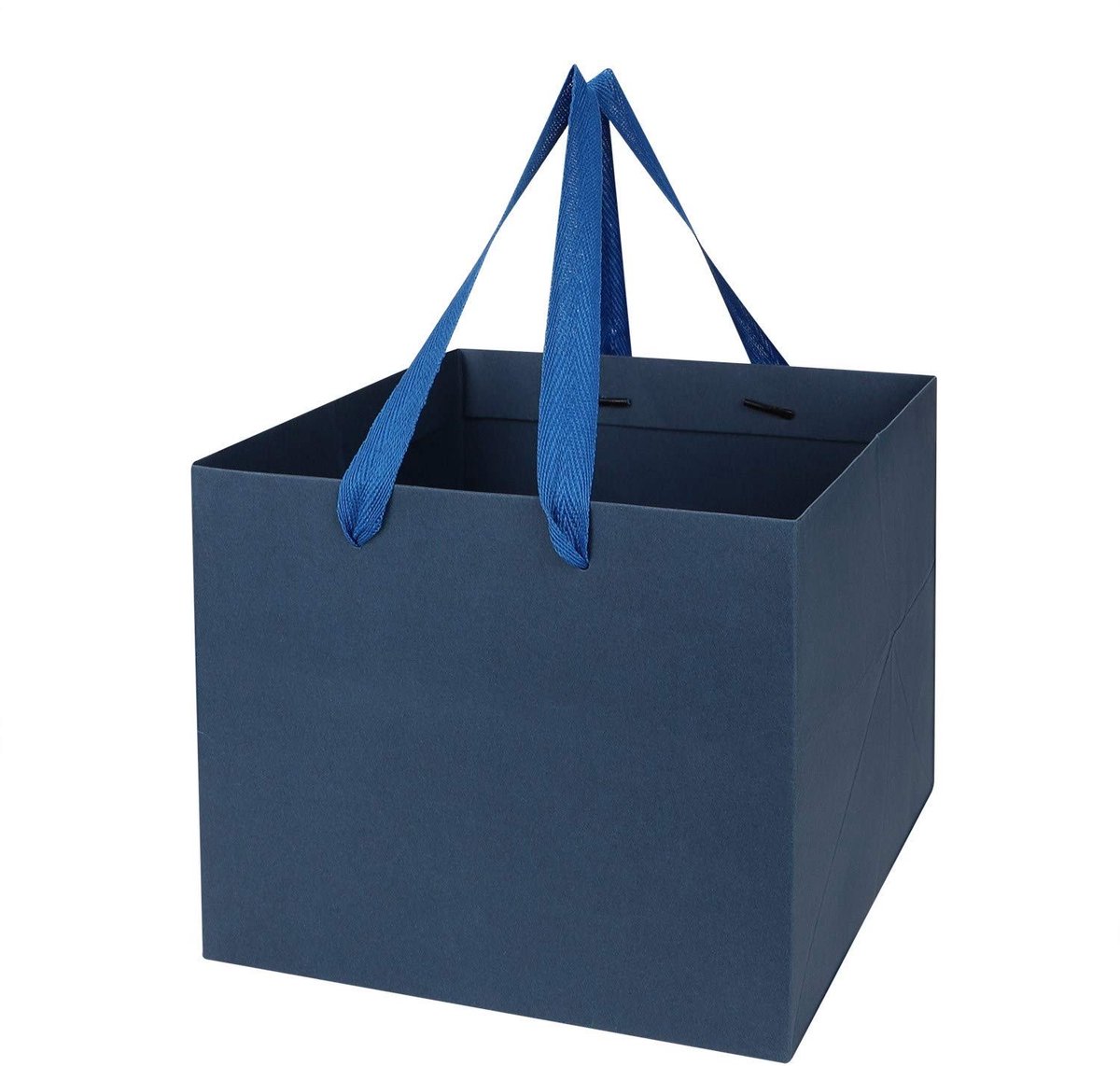Omgoods - Set van 5 Cadeauzakken van Karton voor Diverse Gelegenheden