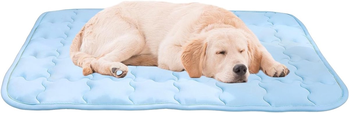 Huisdier Koelmat - Honden en Katten - Verkoeling Zomer - Waterdicht Ontwerp - Maat M - Blauw