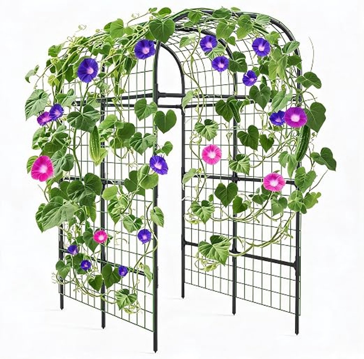 HOERFURIY boogvormig klimrek PE+metaal met PE-net en kunststof verbindingen, zwart – steun voor klimplanten in tuin en moestuin