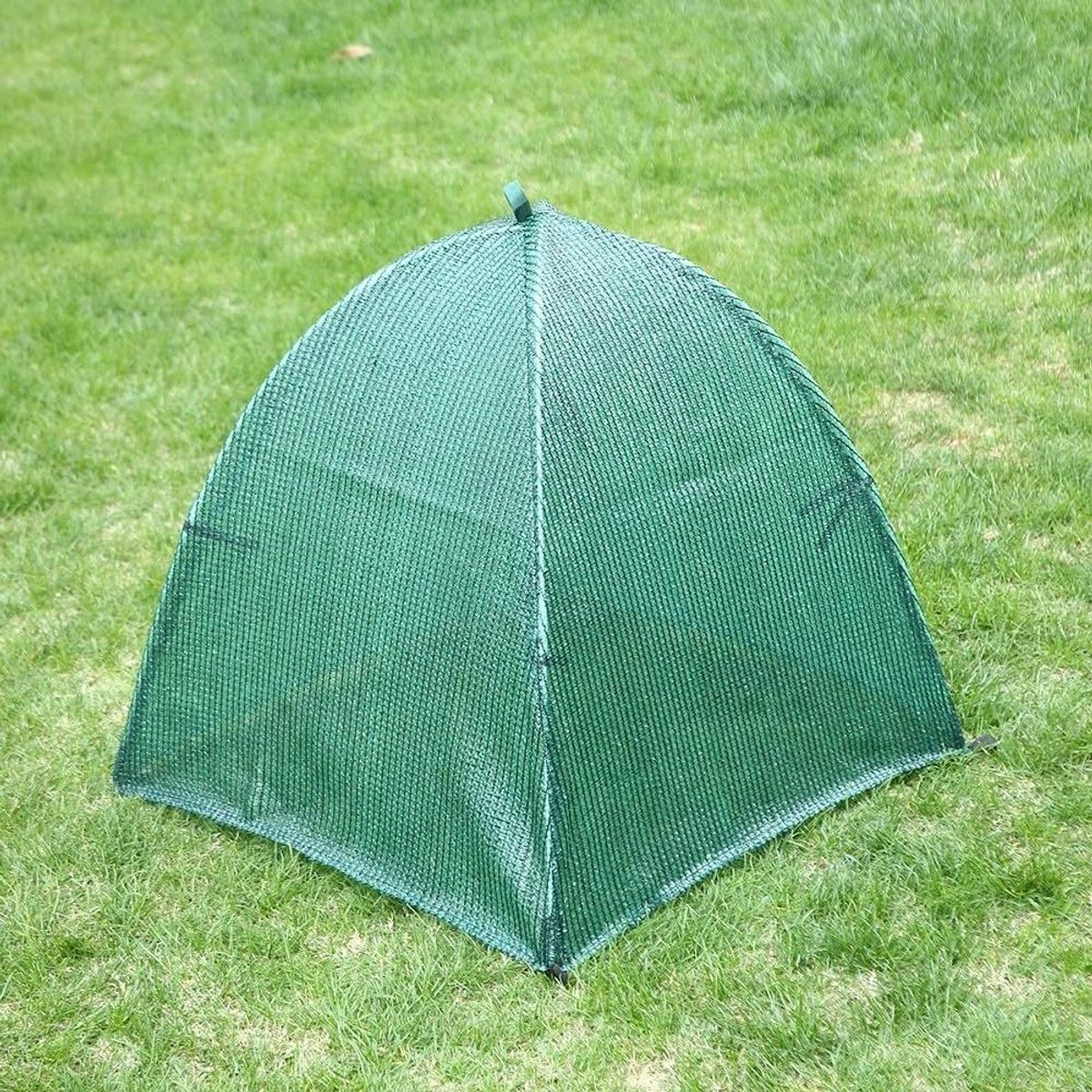 Mini Kas - Plantenhoes Vorstbescherming - Planten Beschermen - Transparant Weerbestendig Frame - 60x60x60 cm - Transparant