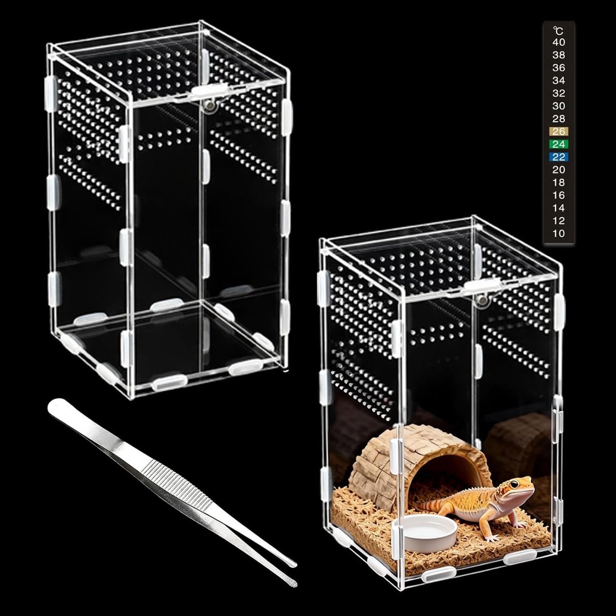 SnelShoppen - Acrylic Reptile Terrarium 20x12x12 cm met Thermometer en Tweezers - Transparant 360 Graden Design voor Reptielen, Schorpioenen en Millip