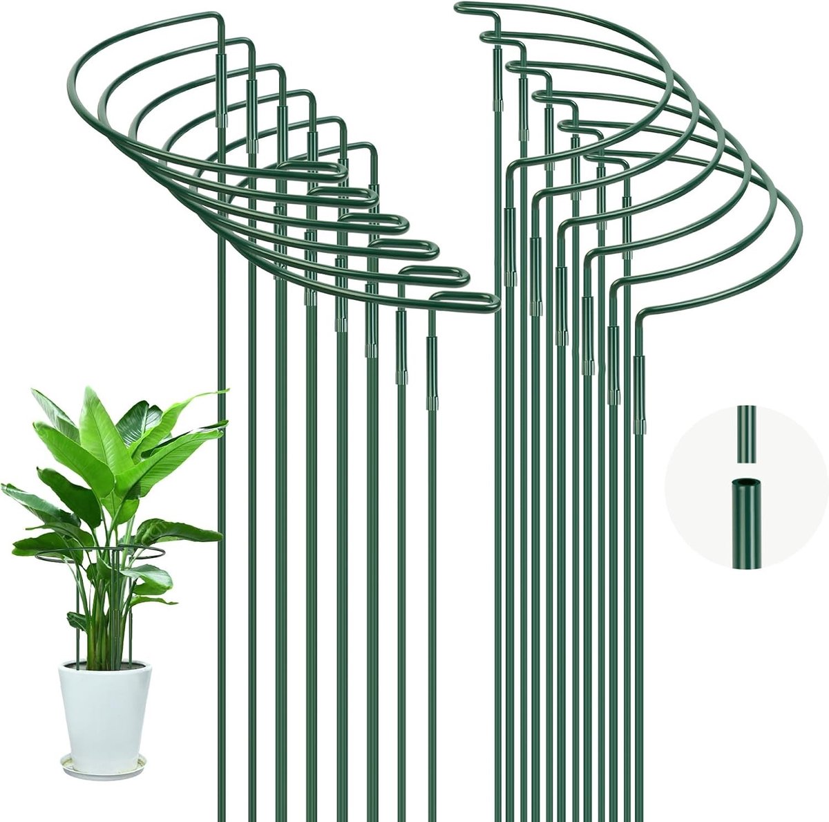 Stevige Plantsteunen voor Groenten en Bloemen, 12 Stuks 30x60CM, Ideaal voor Tomaten, Rozen en Hydrangea