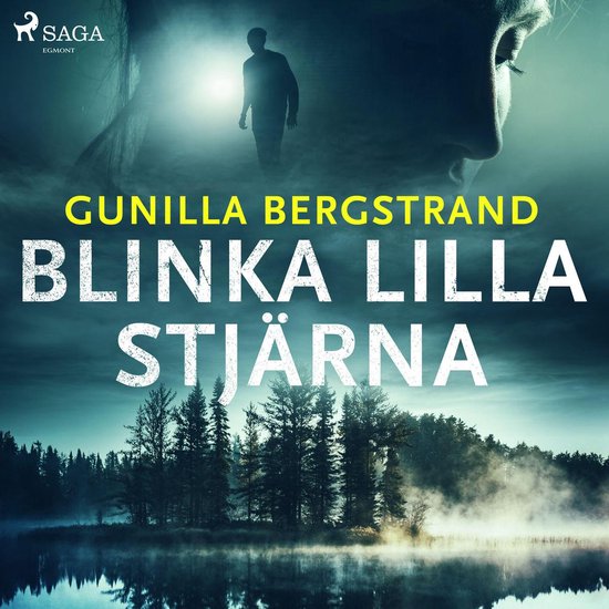 Blinka lilla stjärna - cover
