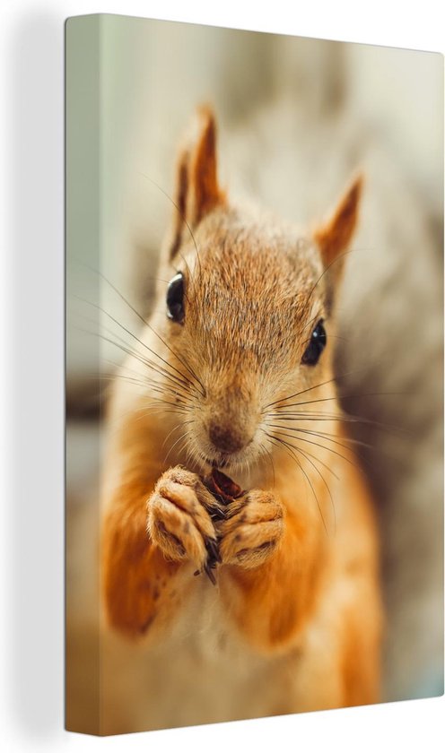 Een klimmende eekhoorn, gemaakt van gietijzer, wanddecoratie