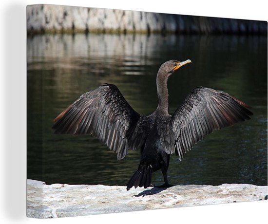 Cormoran à oreilles aux ailes déployées toile 2cm 90x60 cm - Tirage photo sur toile (Décoration murale salon / chambre)