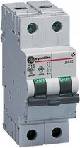 Vynckier stroomonderbreker 2p 10a 3000a
