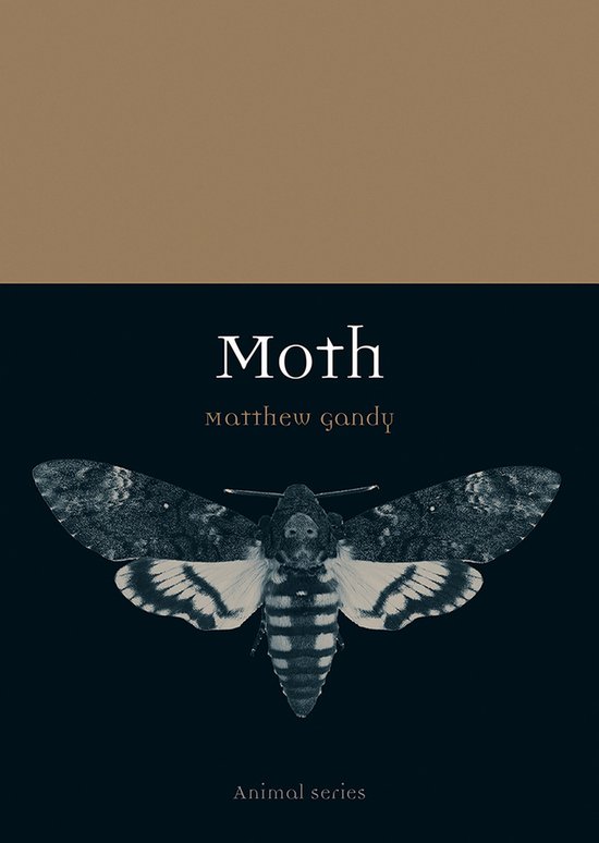 Animal 77 - Moth - cover
