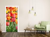 Sticky Decoration - Luxe Deursticker Tulpenveld - Oranje - op maat voor jouw deur