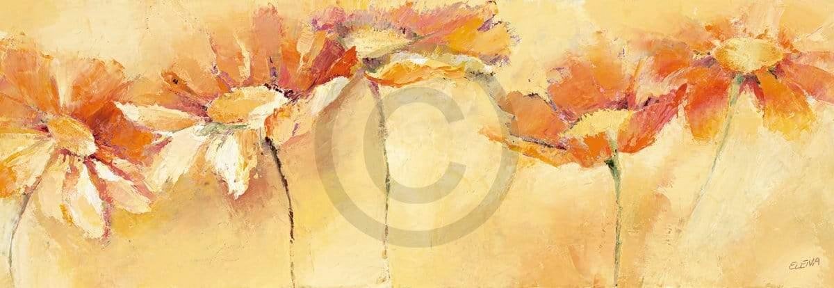 PGM Kunstdruk Elena Filatov - Feldblumenparade 99x34cm Divers
