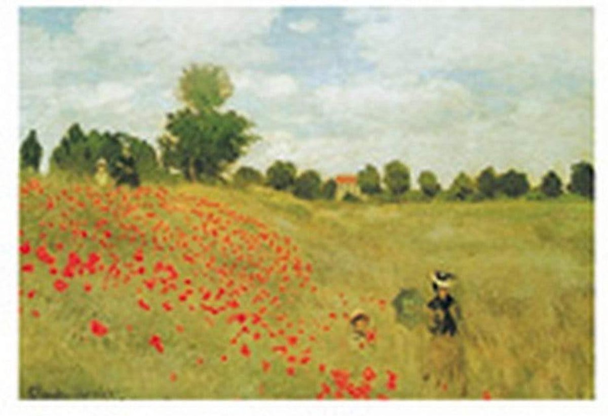 PGM Kunstdruk Claude Monet - Papaveri 70x50cm Divers