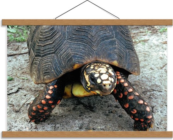 Schoolplaat – Grote Schildpad in Zand - 60x40cm Foto op Textielposter (Wanddecoratie op Schoolplaat)