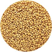 Mosterdzaad Heel Geel Sinapis Alba kiemarm - 1 Kg - Holyflavours -  Biologisch gecertificeerd