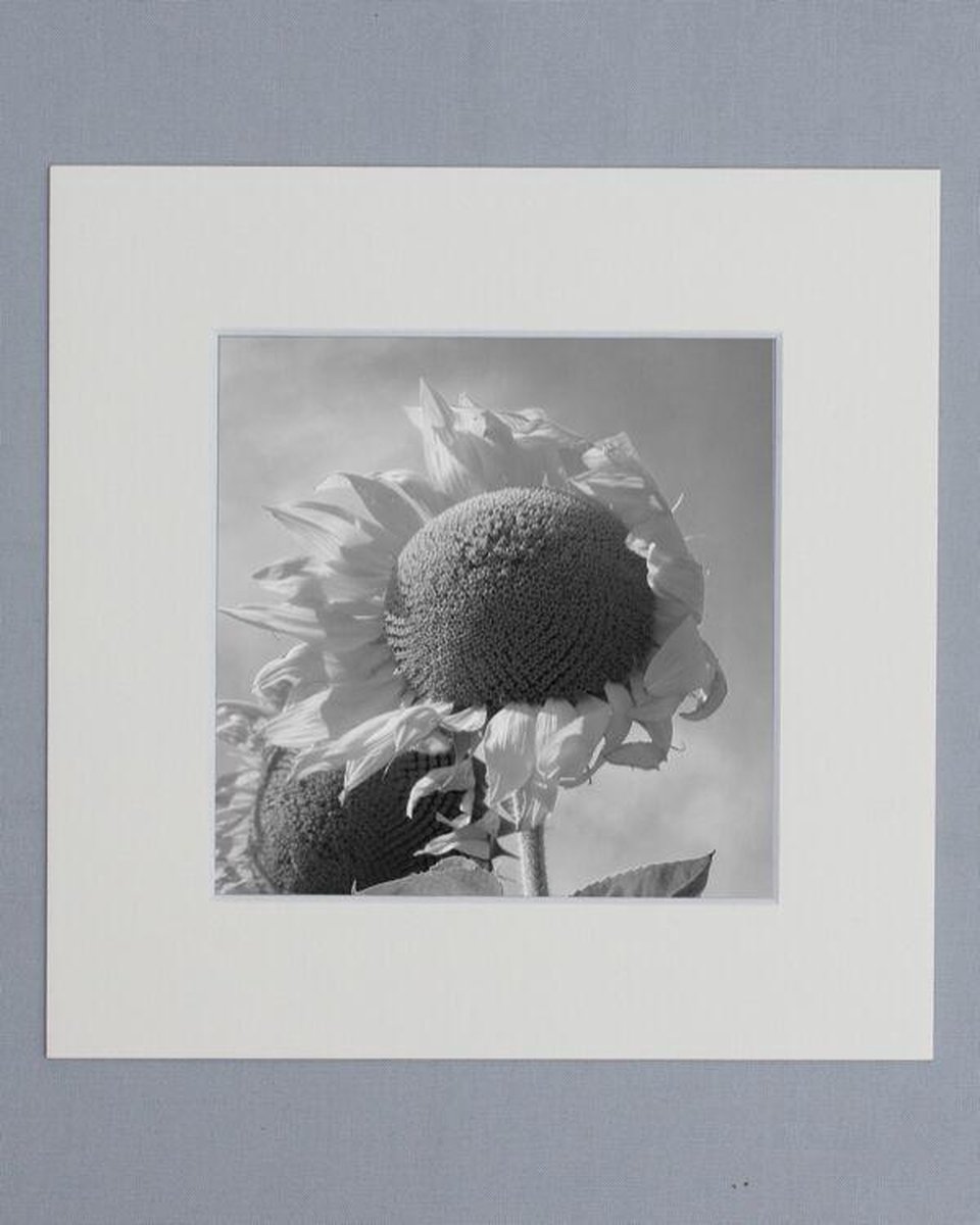 Passe Partout 30x30 Zacht Creme - Fotomaat 20x20 cm