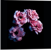 Acrylglas - Roze Bloemen op Zwarte Achtergrond - 50x50cm Foto op Acrylglas (Wanddecoratie op Acrylglas)