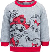 Paw Patrol baby sweater grijs/rood maat 68