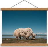 Schoolplaat – Witte Stier grazend - 40x30cm Foto op Textielposter (Wanddecoratie op Schoolplaat)