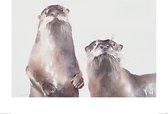 Aimee Del Valle Poster - Twee Otters - 60 X 80 Cm - Multicolor