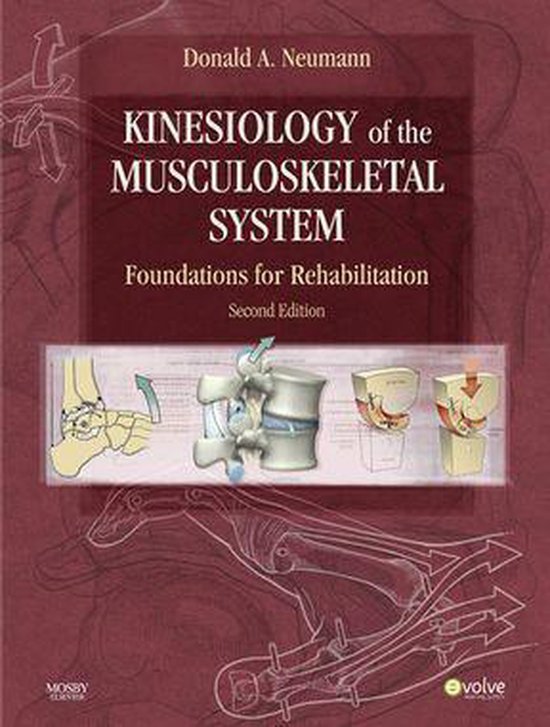 Kinesiology of the Musculoskeletal System - E-Book (ebook), Donald A. Neumann, PT,... | bol.com