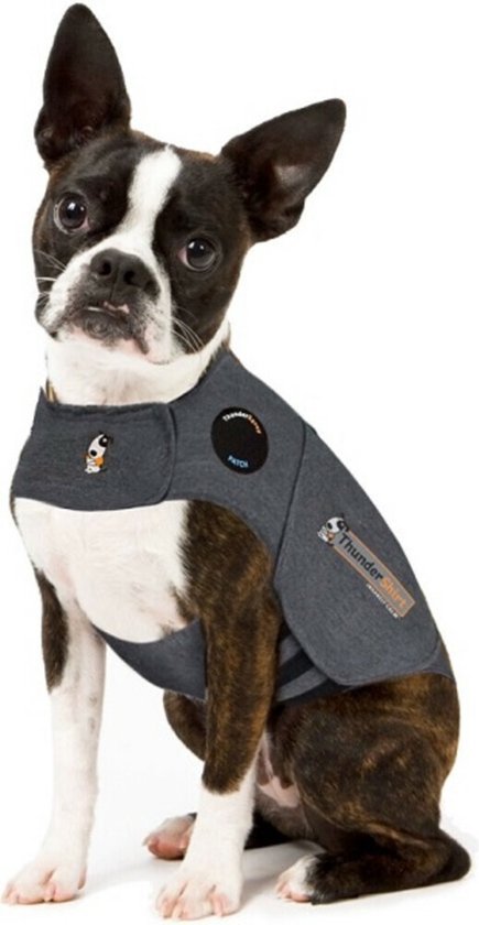 Gilet anti anxiete pour chien sales