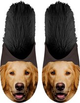 Pantoffels Golden Retriever 39-42
